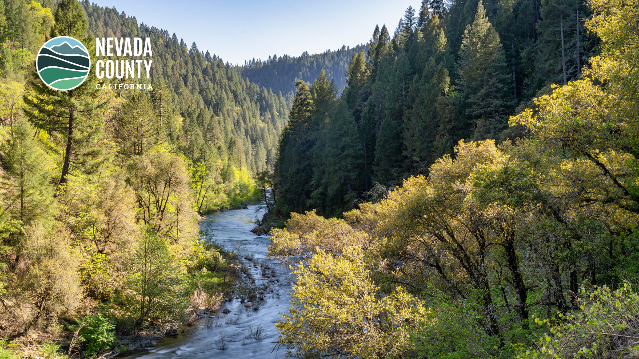 Image 8 of 10 in gallery section. Image title is Zoom Background- Yuba 3.