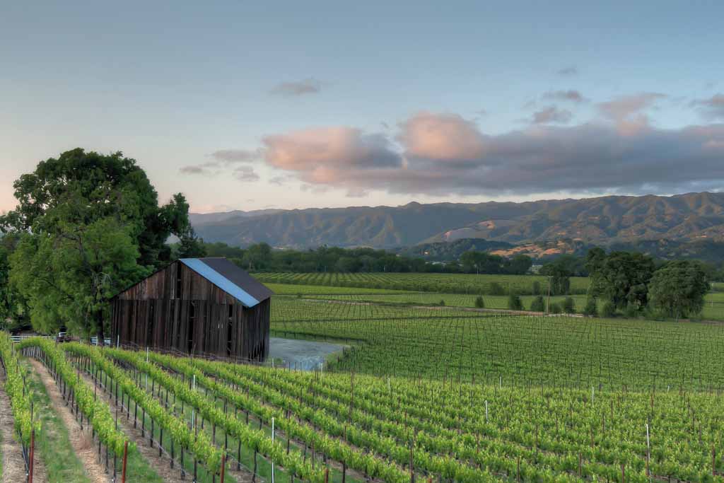 Item 1 of 6 in gallery section. Title is Ukiah Valley and Vineyard.