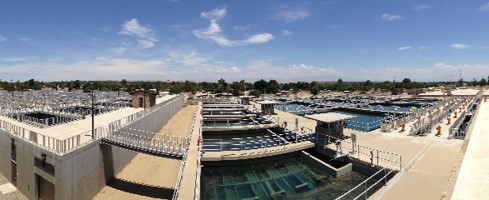 Image 1 of 1 in Text/Picture section