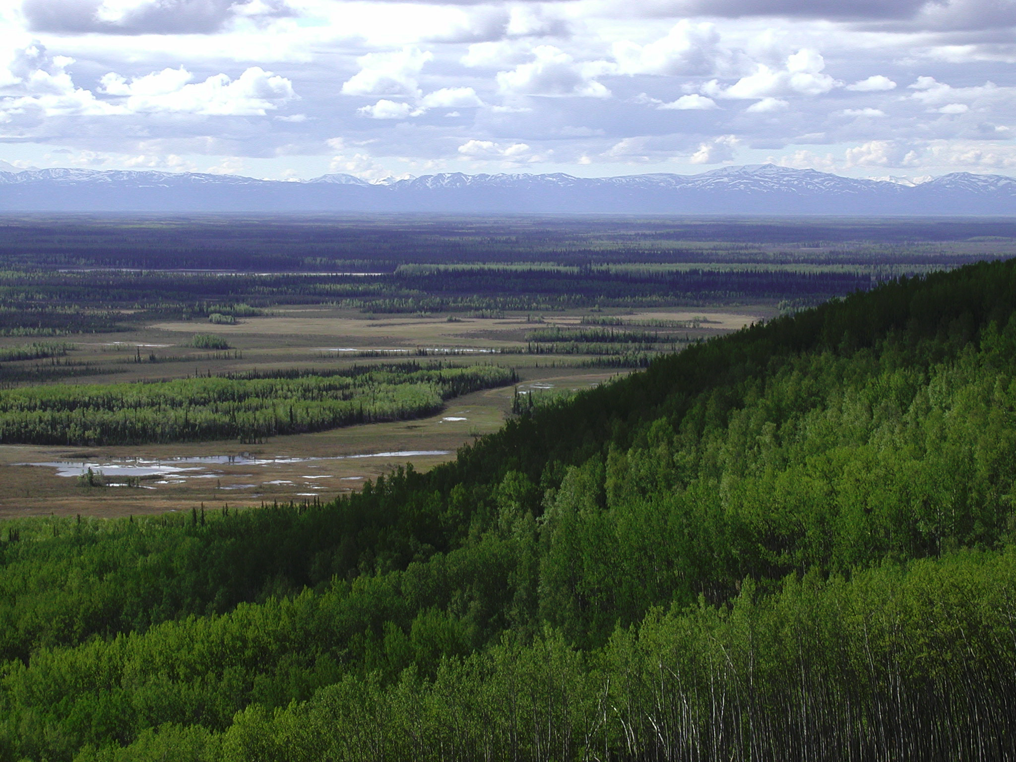 Image 2 of 14 in gallery section. Image title is NenanaRdge3.