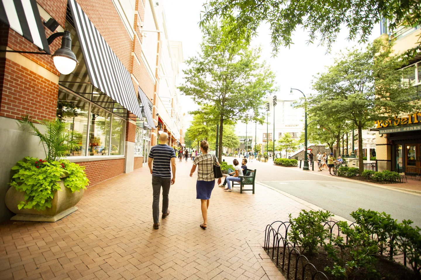 Image 1 of 1 in Text/Picture section