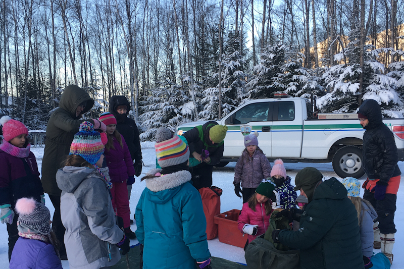 Image 2 of 34 in gallery section. Image title is G scouts and Crockett_edited.