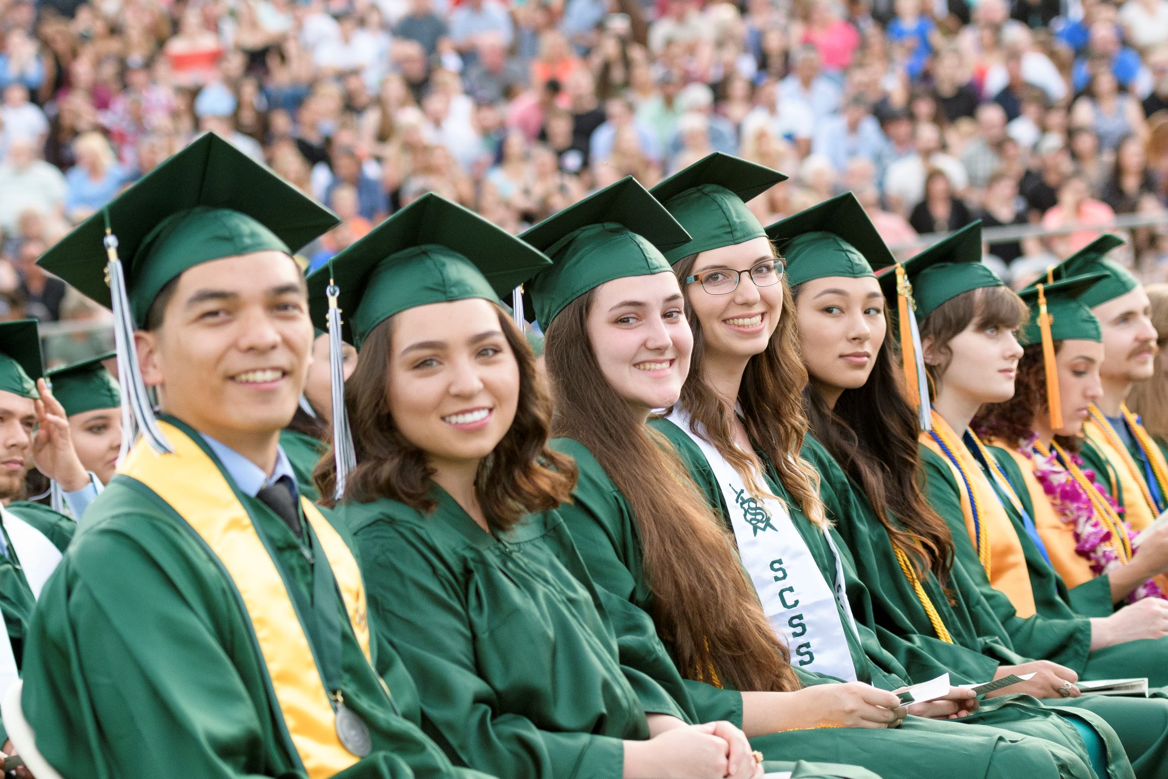 Image 1 of 1 in Text/Picture section