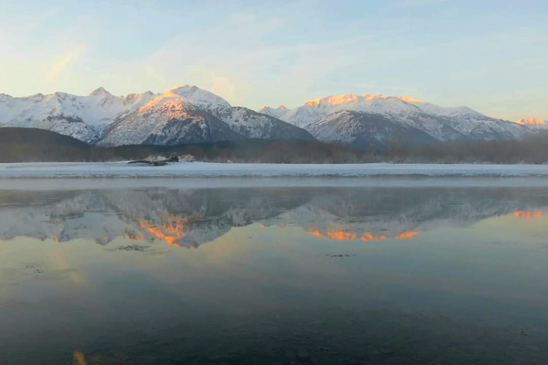 Image 22 of 34 in gallery section. Image title is Alaska Chilkat Bald Eagle Preserve_edited.