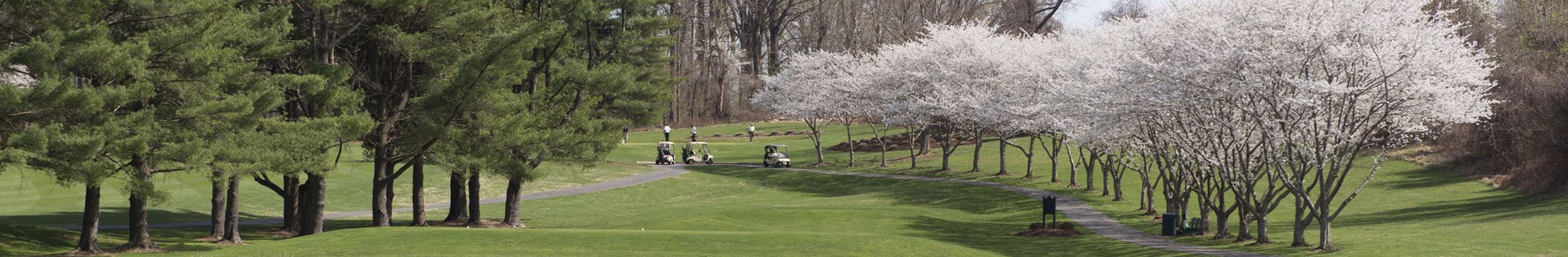 Work Where you Play!background