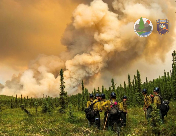 Natural Resourcesbackground