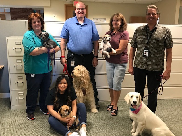 Image 14 of 16 in gallery section. Image title is Take your Dog to Work Day.