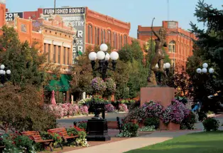 Image 1 of 1 in Text/Picture section