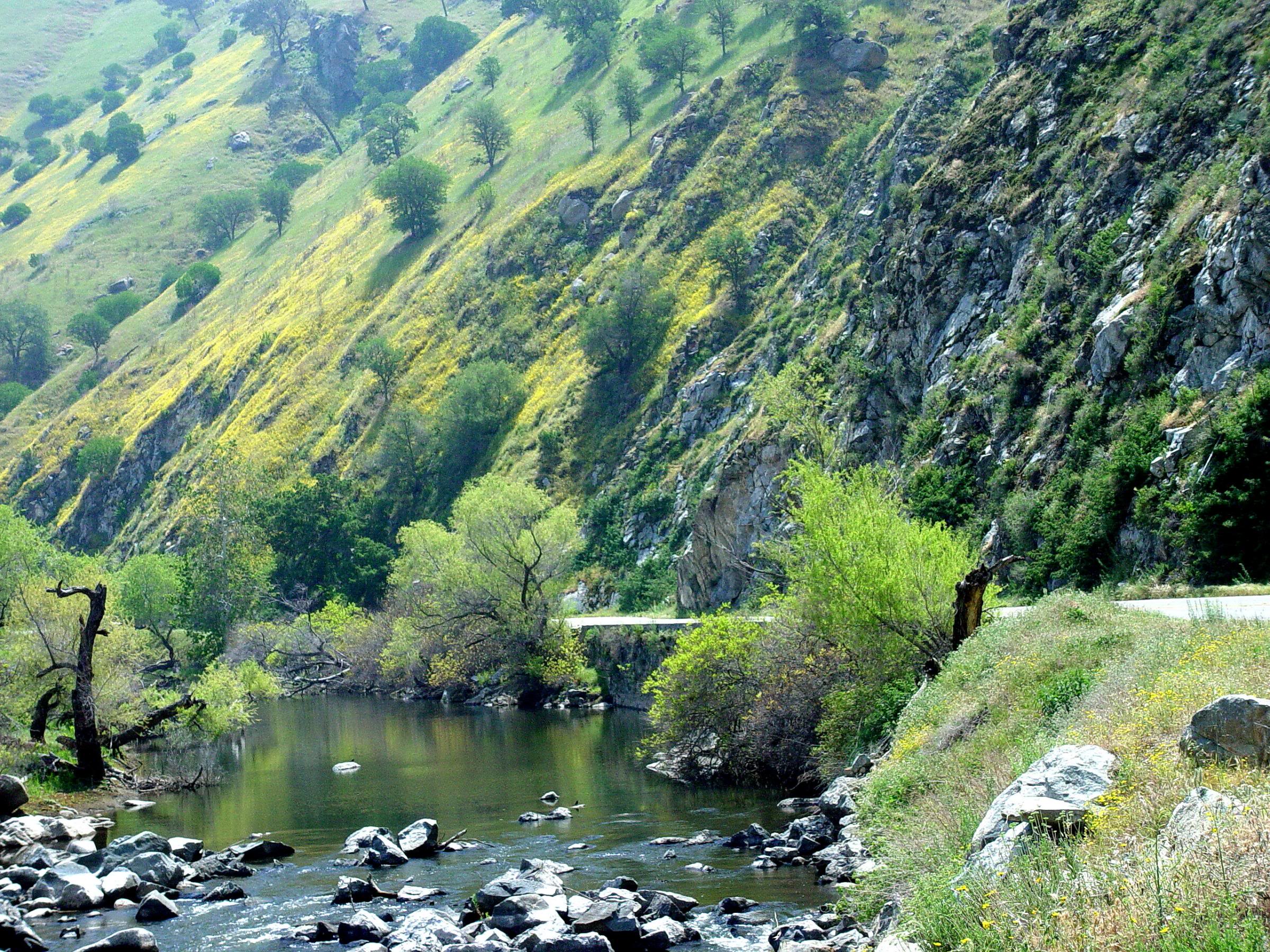 Recruitment Homebackground