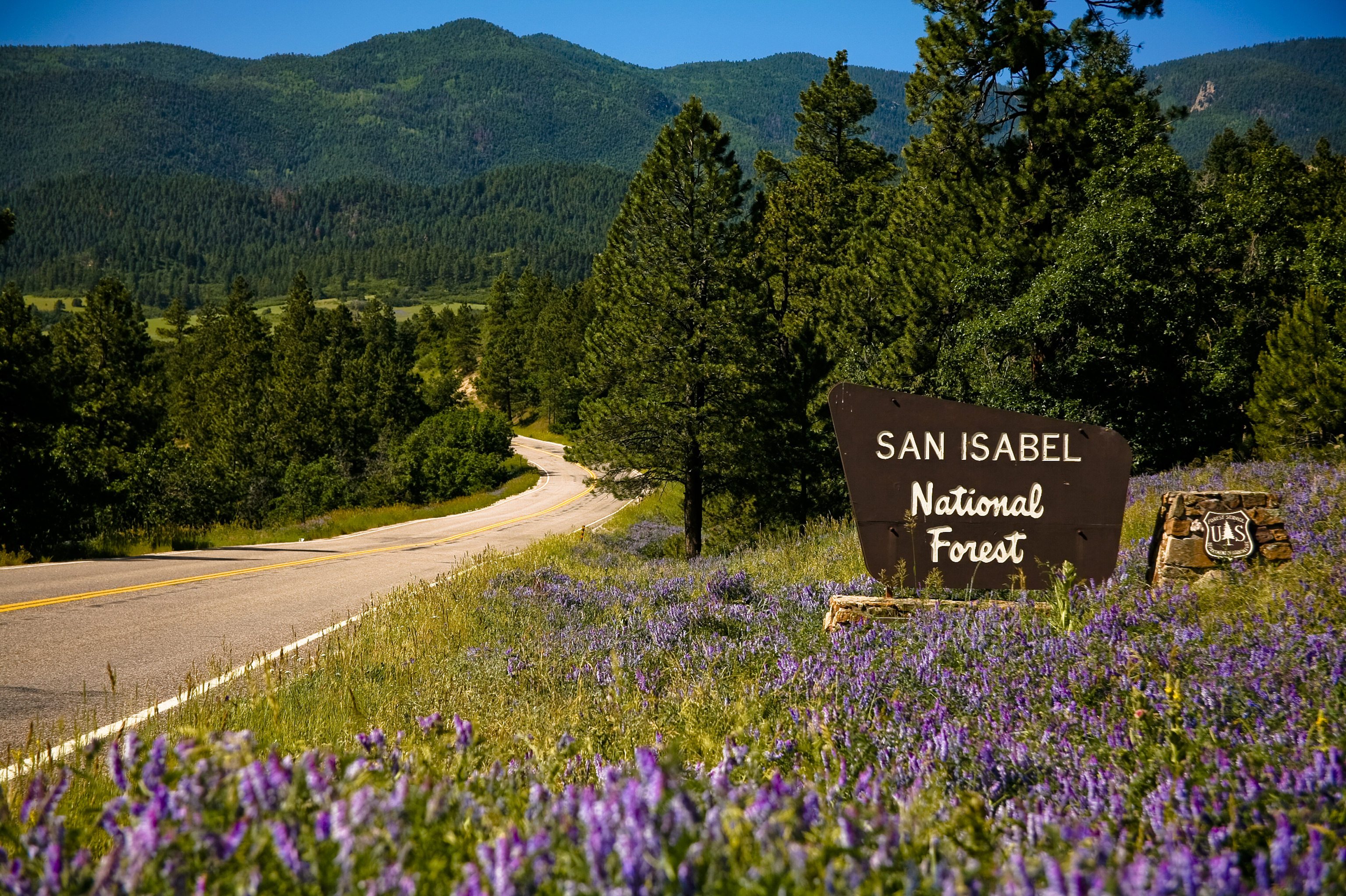 Image 12 of 12 in gallery section. Image title is San Isabel National Forest .