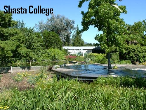 Image 3 of 22 in gallery section. Image title is Botanical gardens.