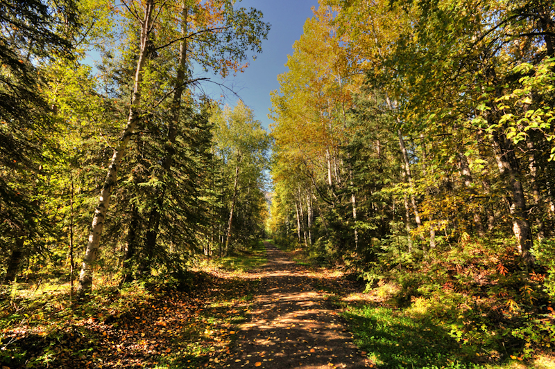 Image 24 of 34 in gallery section. Image title is Eklutna Trail_edited.