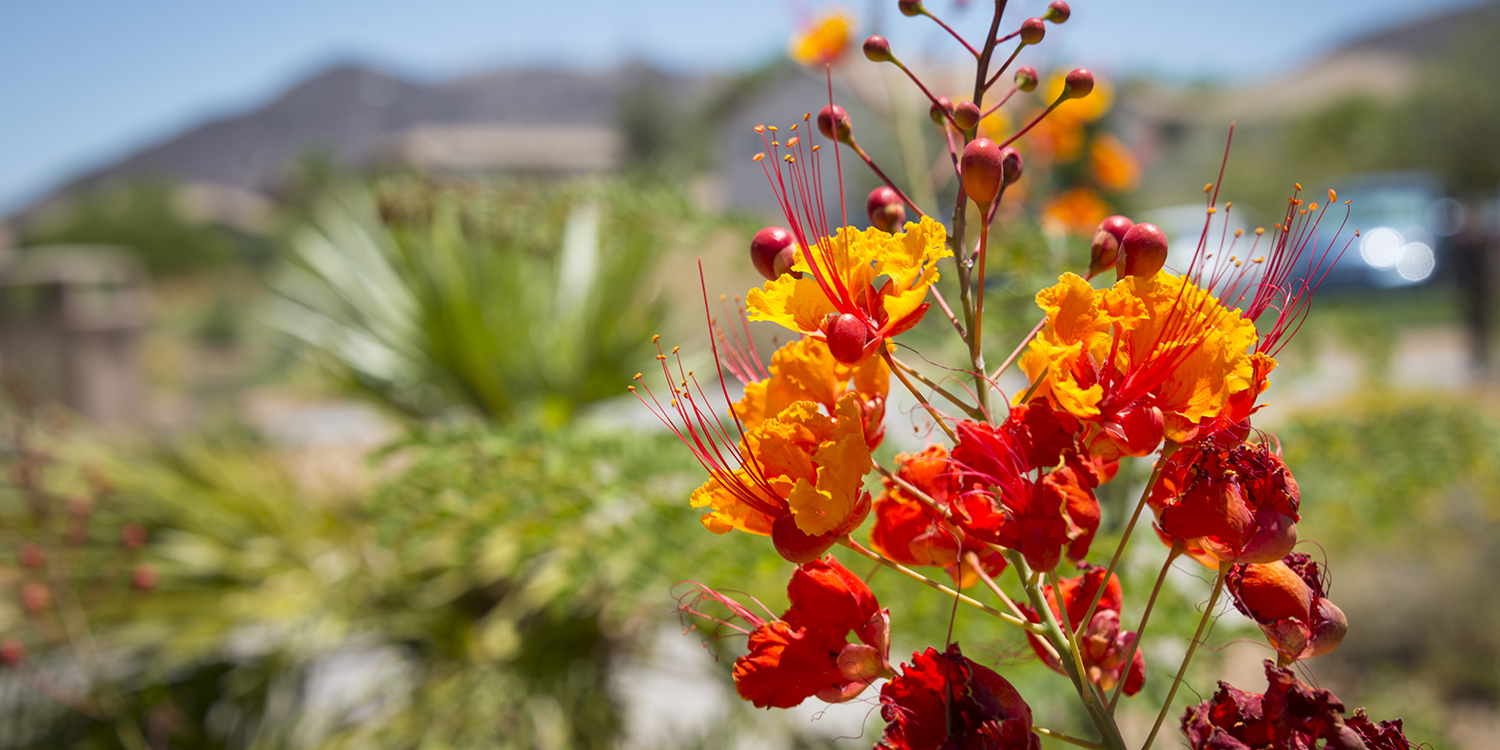 Human Resourcesbackground