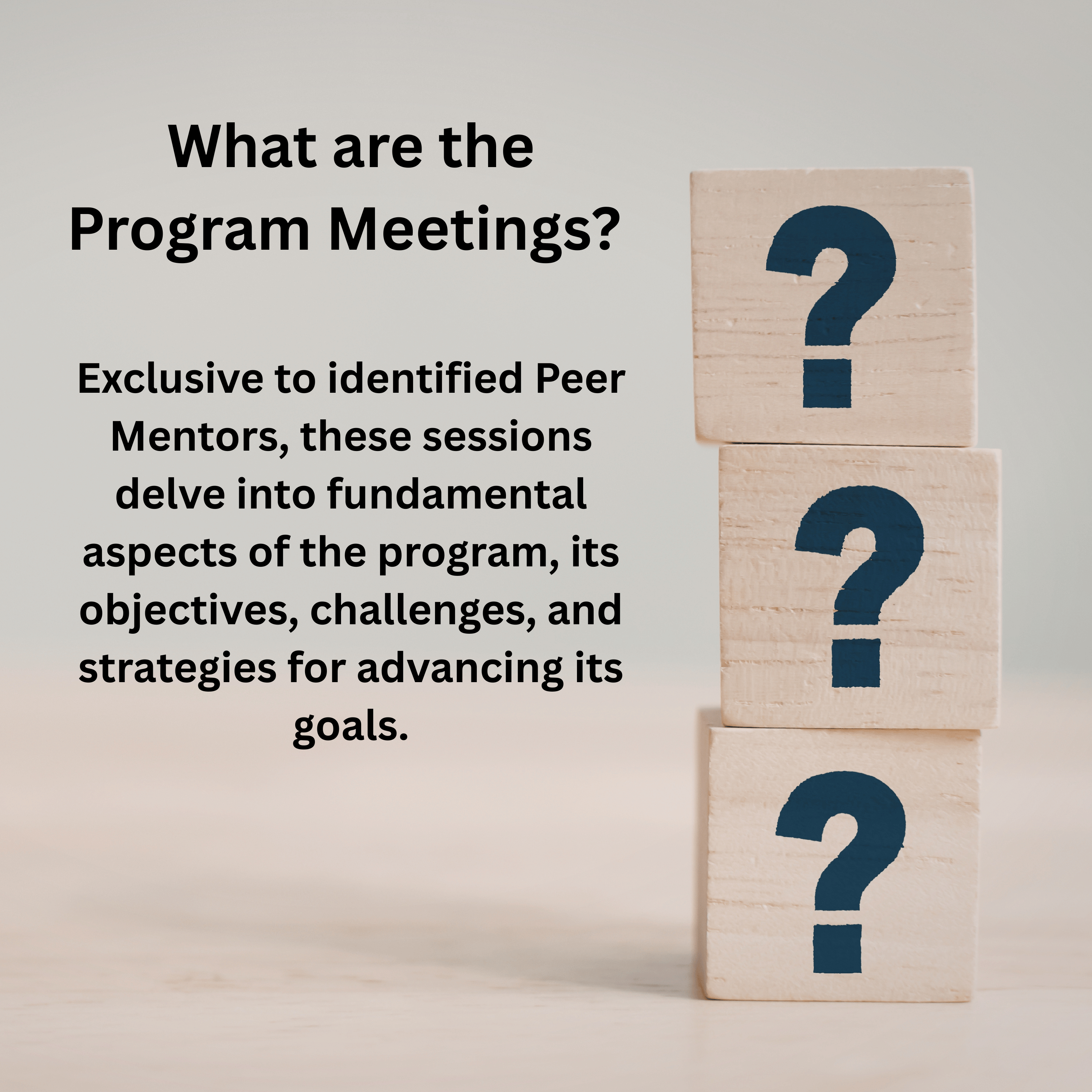 Image 3 of 4 in gallery section. Image title is When are the Program Meetings?.