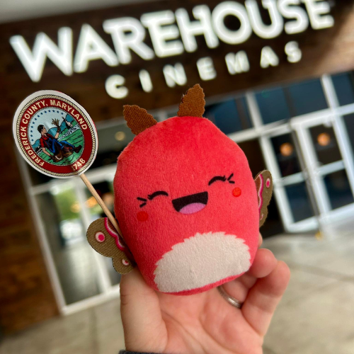 Image 12 of 15 in gallery section. Image title is Untitled design (50).