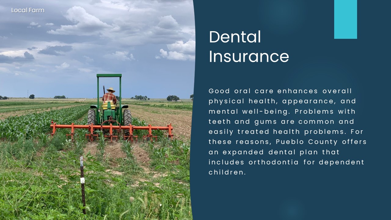 Image 3 of 4 in gallery section.