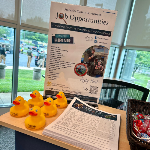 Image 7 of 15 in gallery section. Image title is Untitled design (53).