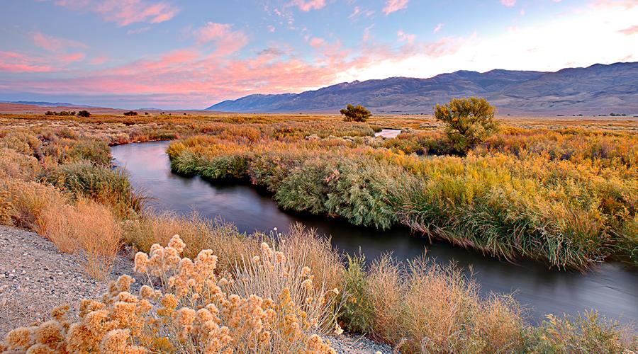 Image 2 of 9 in gallery section. Image title is Owens River.