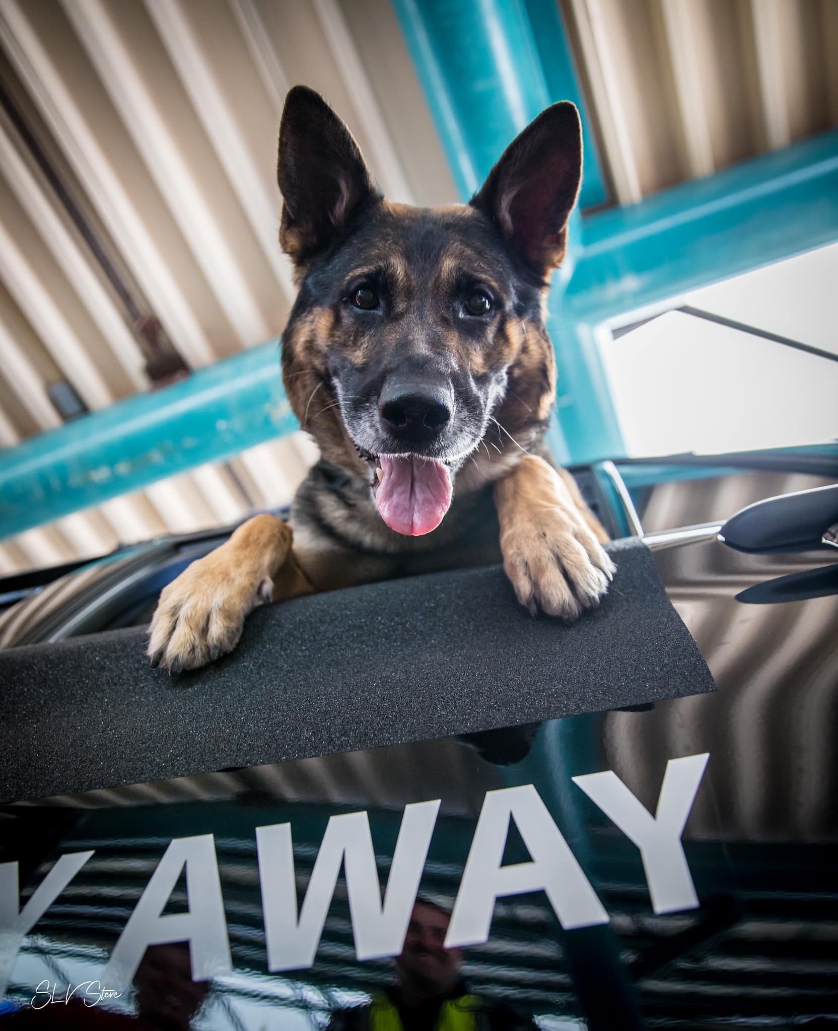 Image 4 of 7 in gallery section. Image title is 638077281150970000.