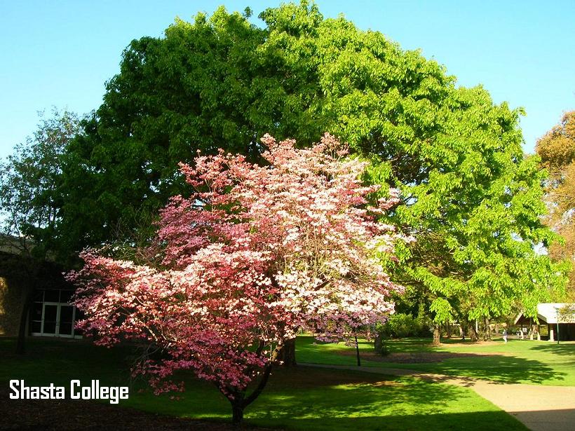 Image 10 of 22 in gallery section. Image title is Campus.