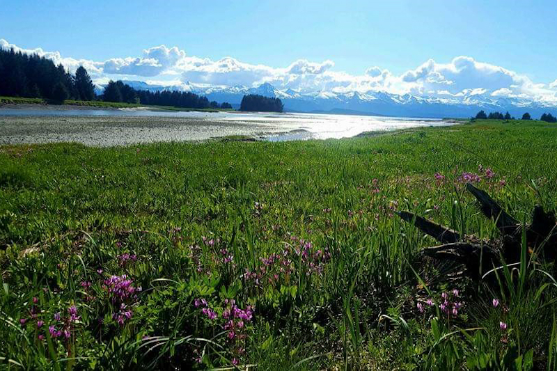 Image 8 of 34 in gallery section. Image title is Meadow View EagleBeachSRA_edited.