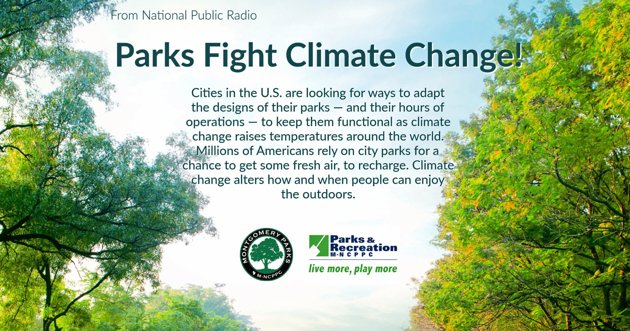 Fighting Climate Change