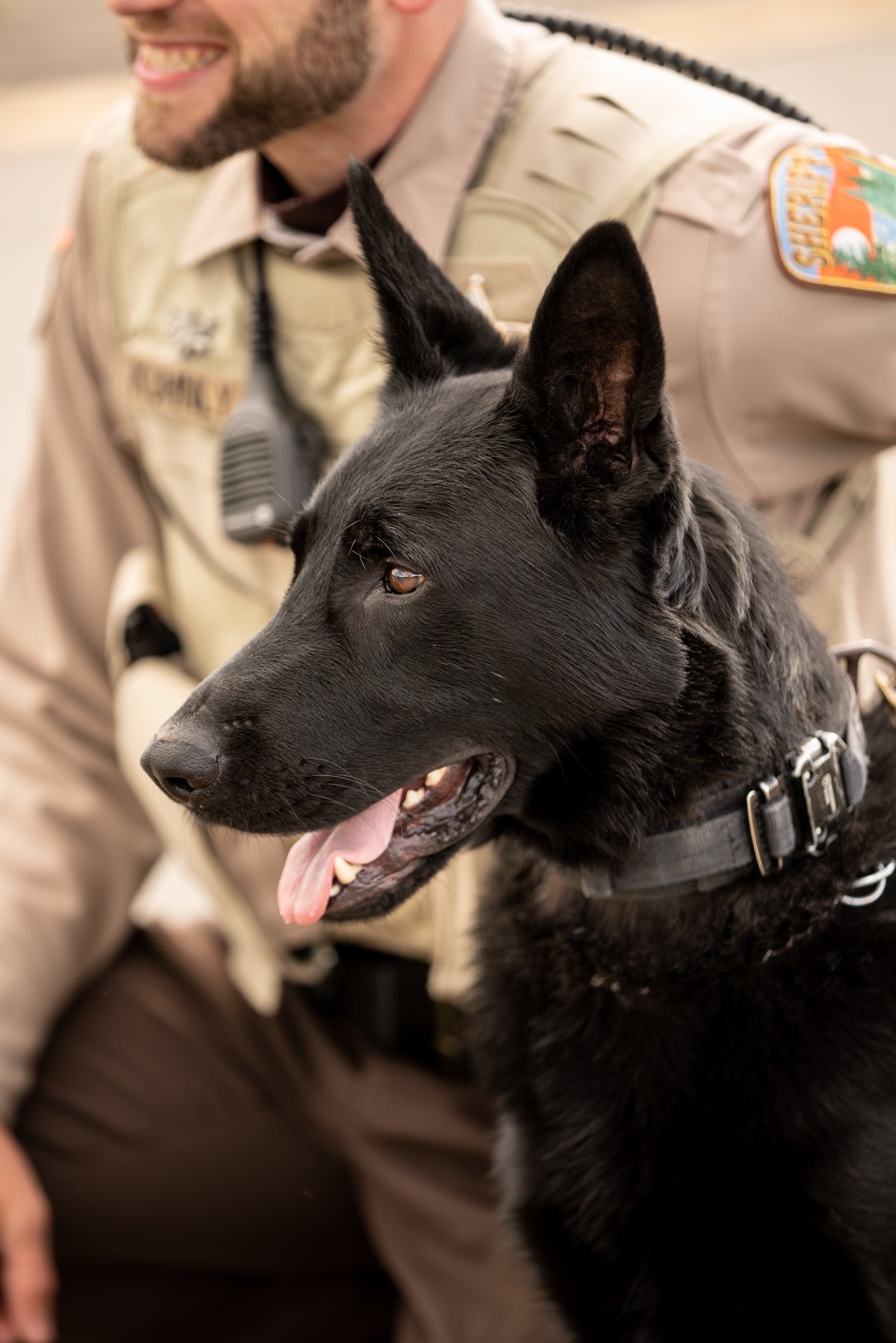 Image 9 of 11 in gallery section. Image title is Ranger.