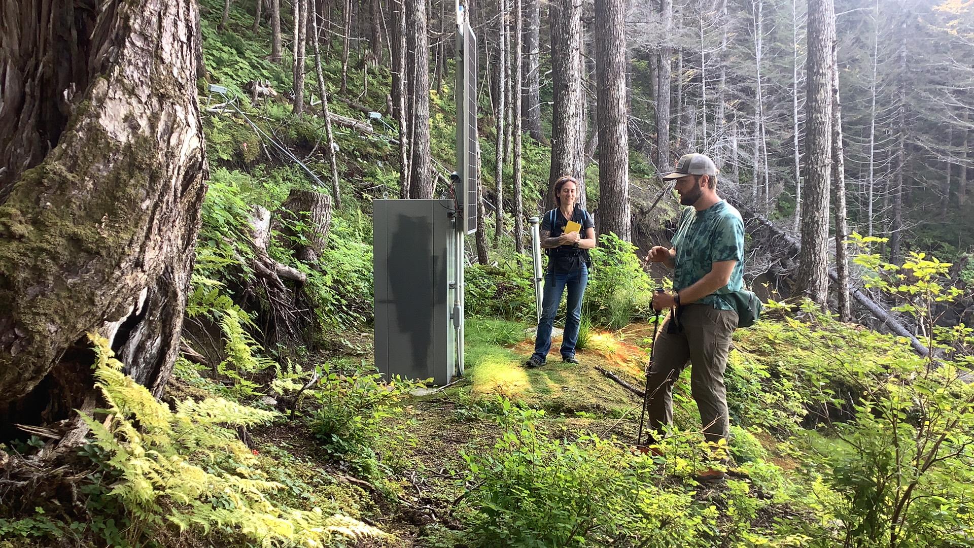 Image 19 of 28 in gallery section. Image title is img_0011_43.