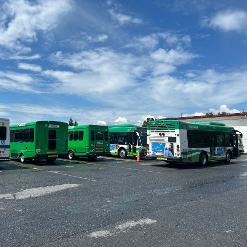 Image 6 of 15 in gallery section. Image title is Untitled design (56).