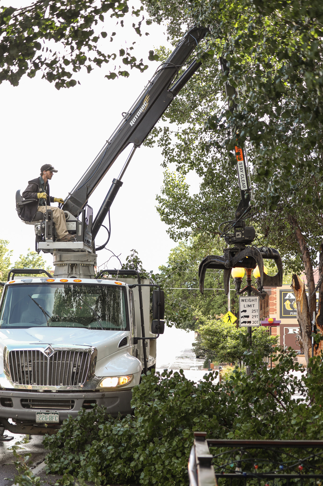 Image 2 of 14 in gallery section. Image title is Employee Working on Trees.