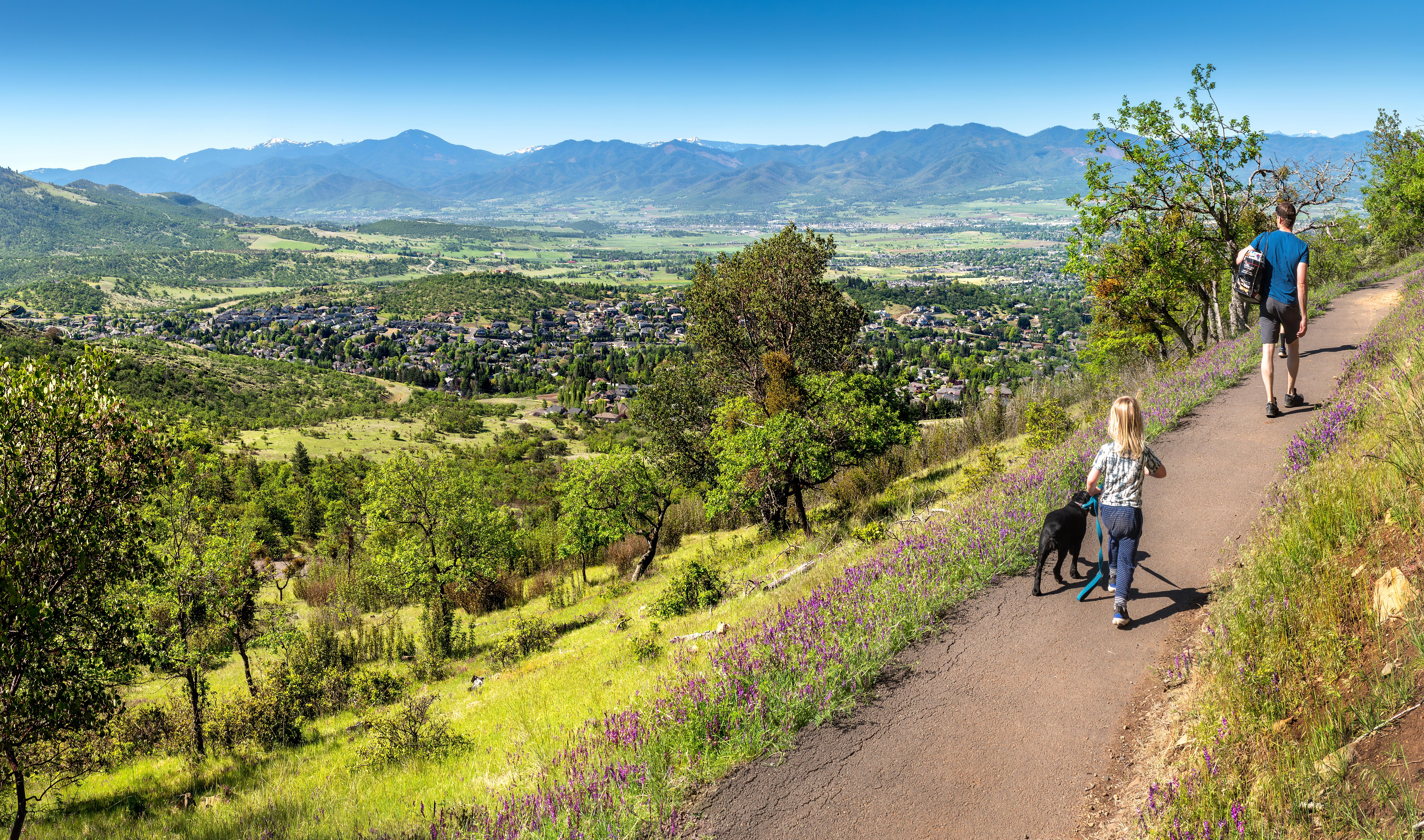 Image 16 of 19 in gallery section. Image title is 20230514-Prescott-15.