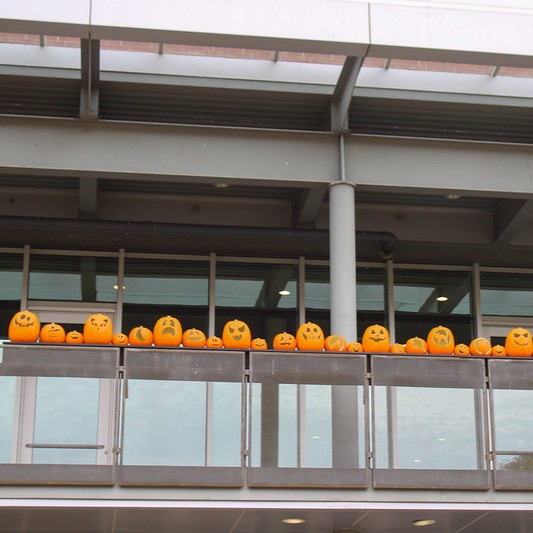 Image 10 of 28 in gallery section. Image title is Halloween Decorating 2025.