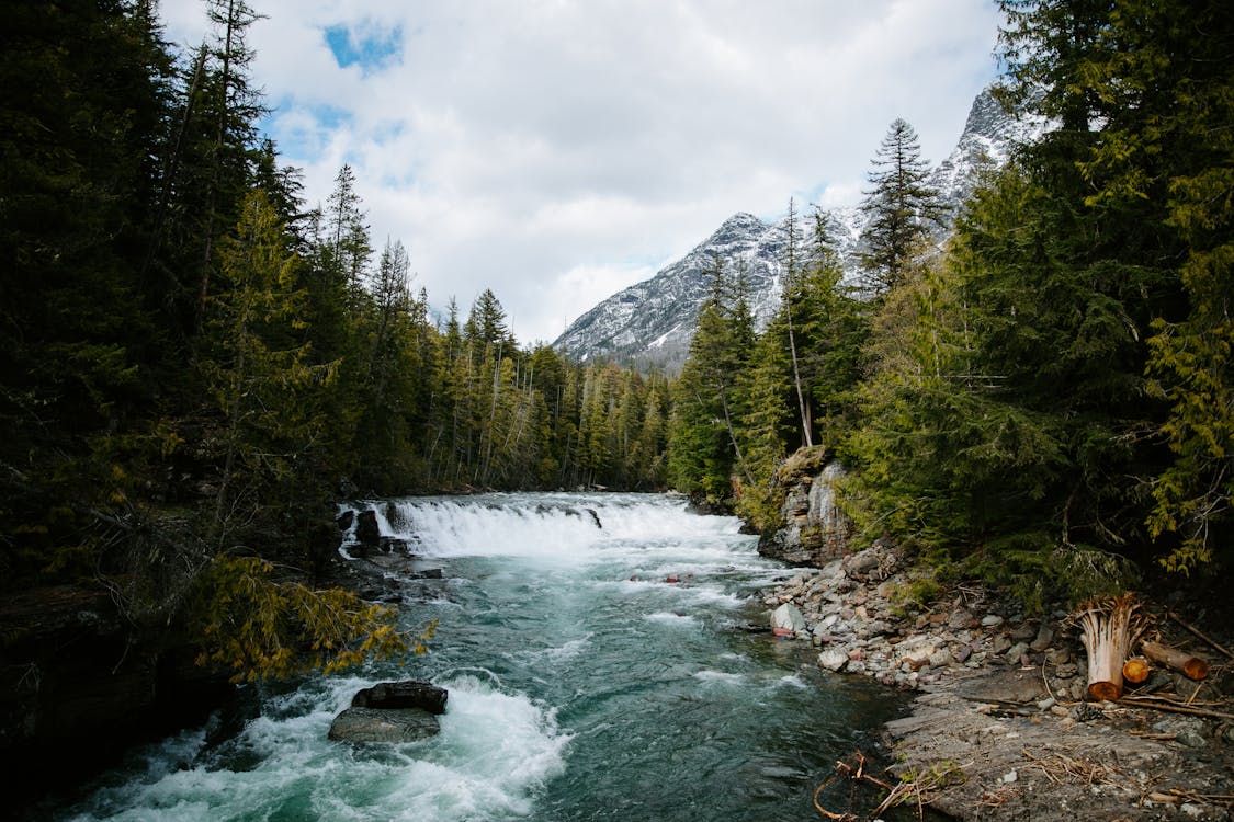 Image 4 of 7 in gallery section. Image title is pexels-photo-13315455 - Copy.