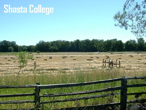 Image 12 of 22 in gallery section. Image title is Farm.