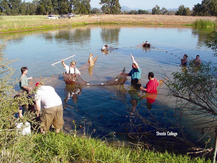 Image 15 of 22 in gallery section. Image title is Pond.