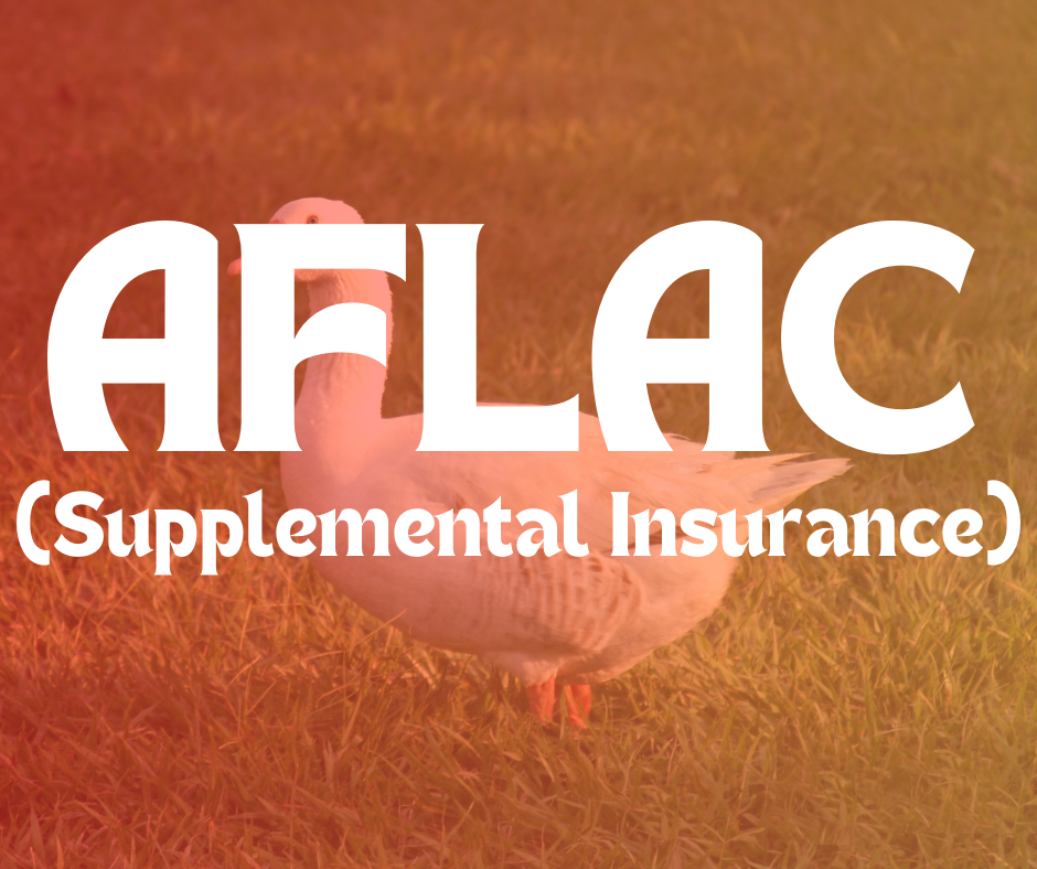 Item 4 of 9 in gallery section. Title is AFLAC.