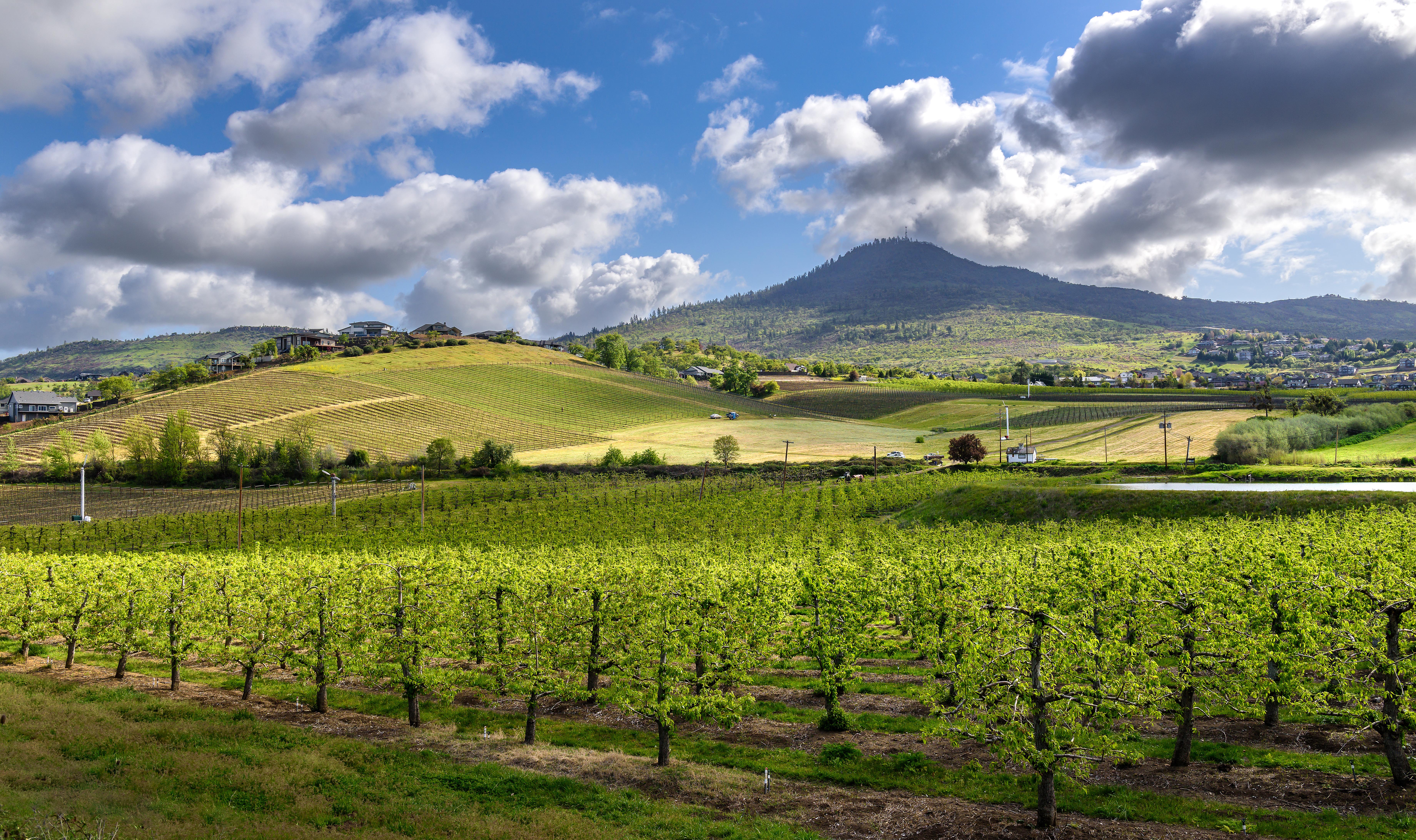 Image 10 of 19 in gallery section. Image title is 20220426-City-1 (1).