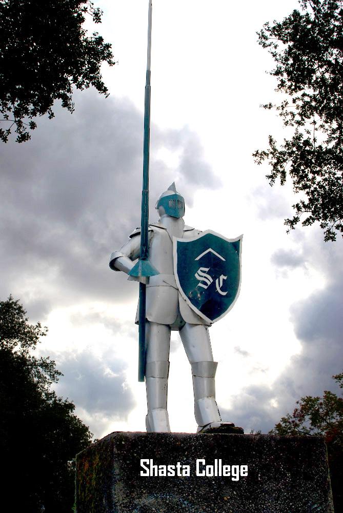 Image 16 of 22 in gallery section. Image title is Okie dok.