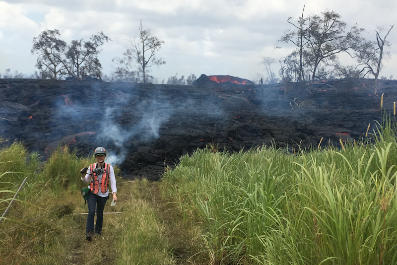 Image 17 of 28 in gallery section. Image title is DGGS 2018 Mulliken Hawaii 1_edited.