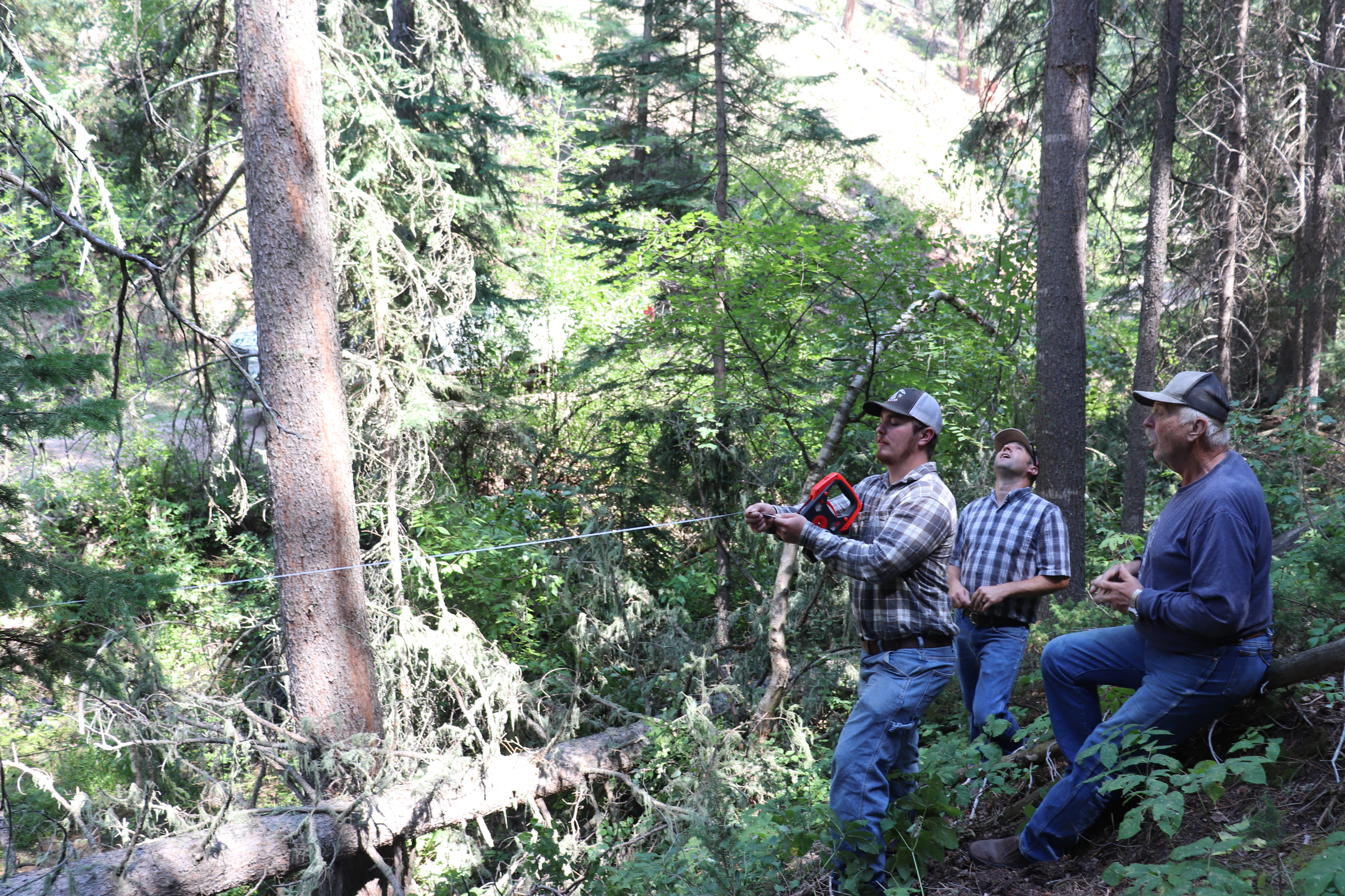 Image 2 of 4 in gallery section. Image title is Champion Tree measuring.