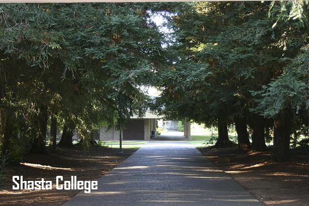 Image 5 of 22 in gallery section. Image title is Campus.