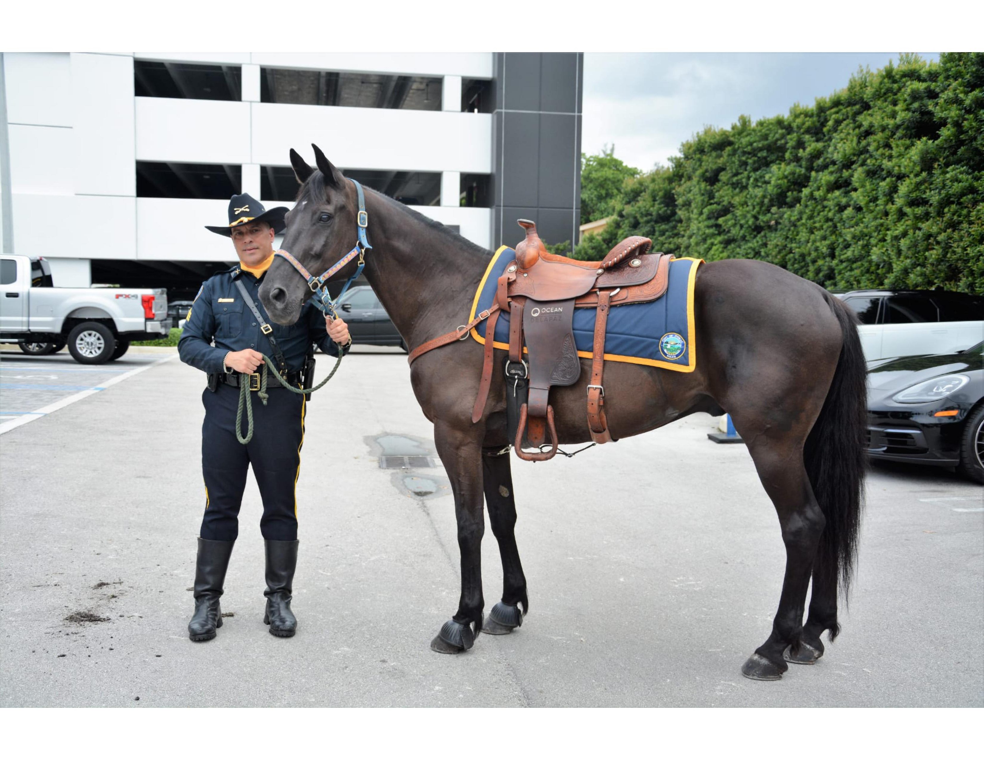 Mounted Unit