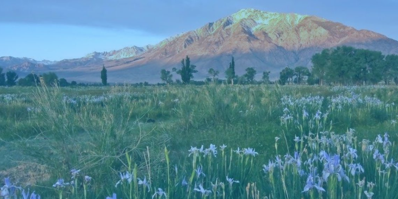 Inyo County Recruitmentbackground