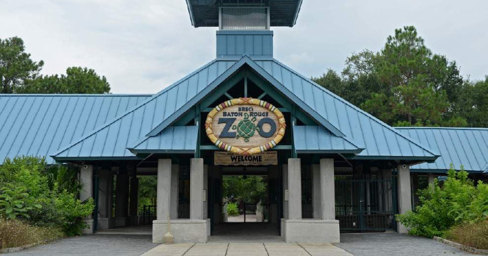 New Zoo Director