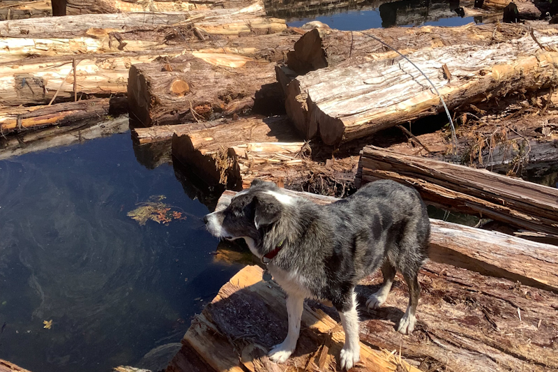 Image 14 of 14 in gallery section. Image title is IMG_0344_edited.