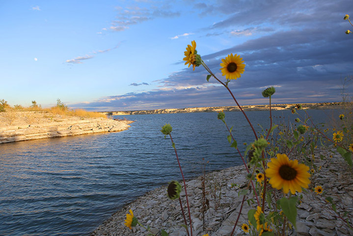 Image 4 of 12 in gallery section. Image title is Lake Pueblo State Park.