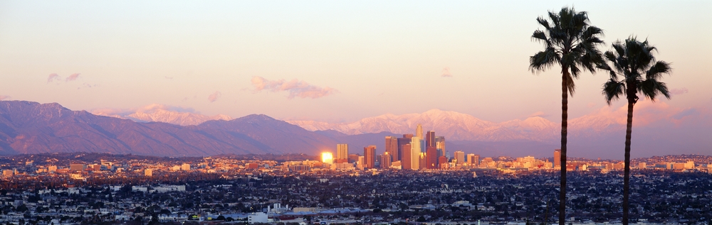 County of Los Angeles background