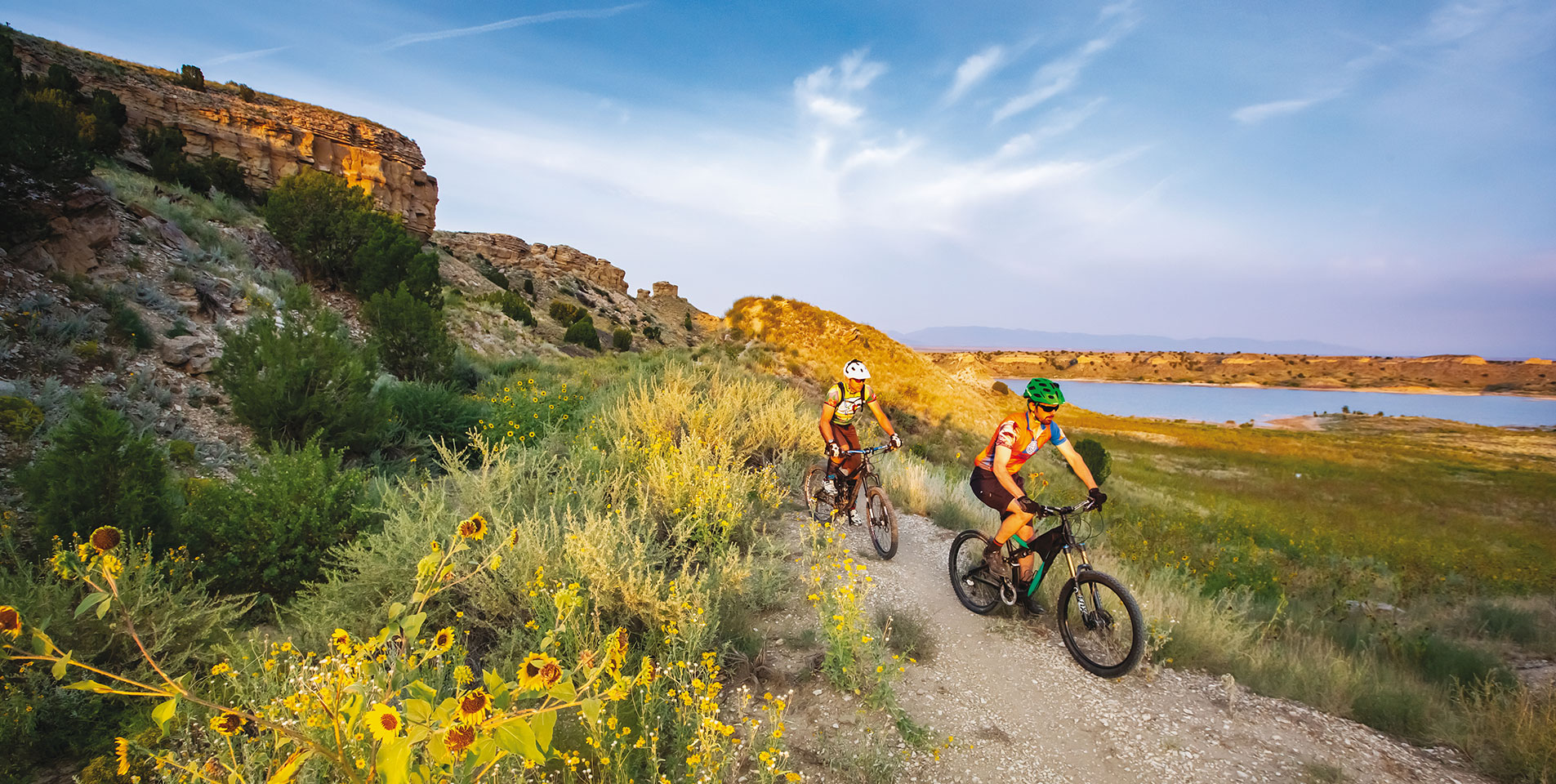 Image 1 of 1 in Text/Picture section