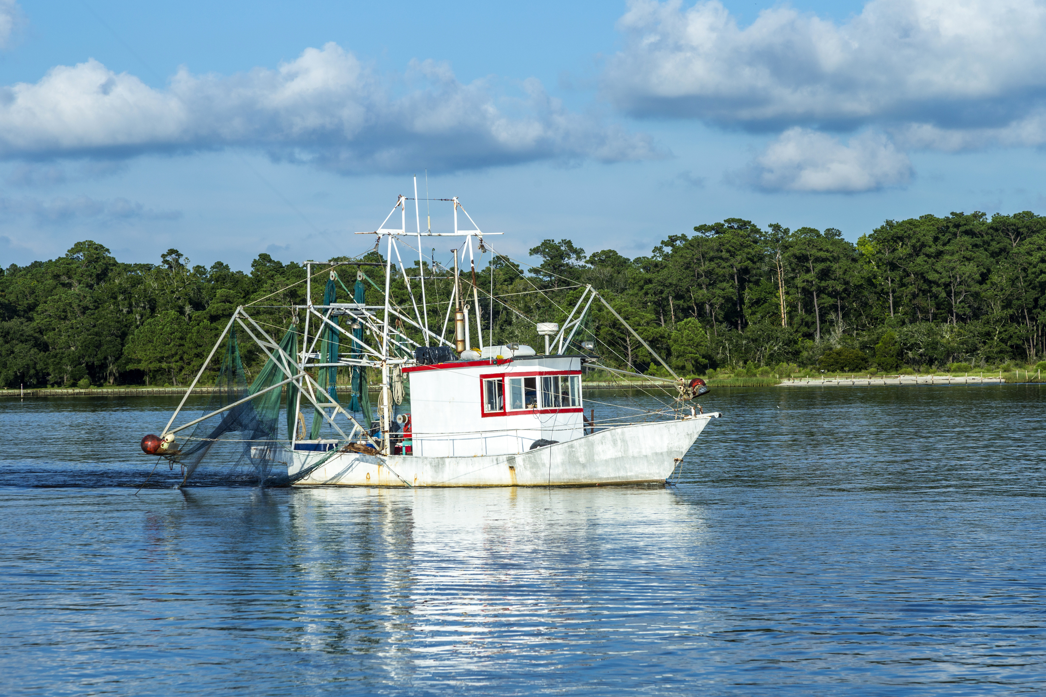 Image 10 of 11 in gallery section. Image title is Shrimp boat.