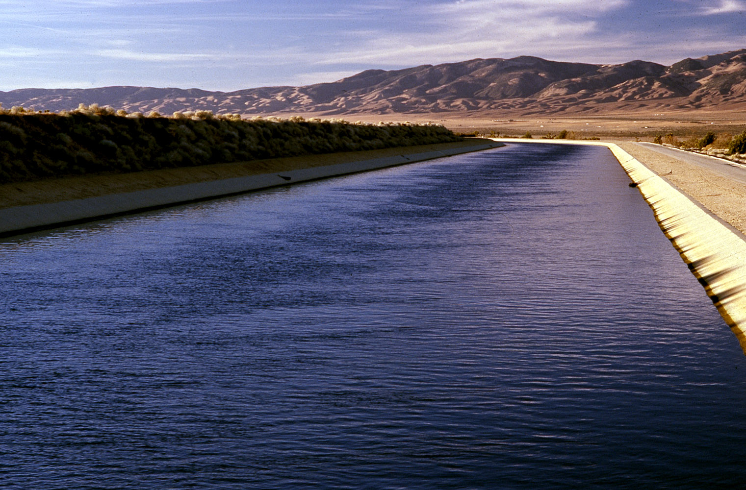 Image 2 of 3 in gallery section. Image title is SWP3.